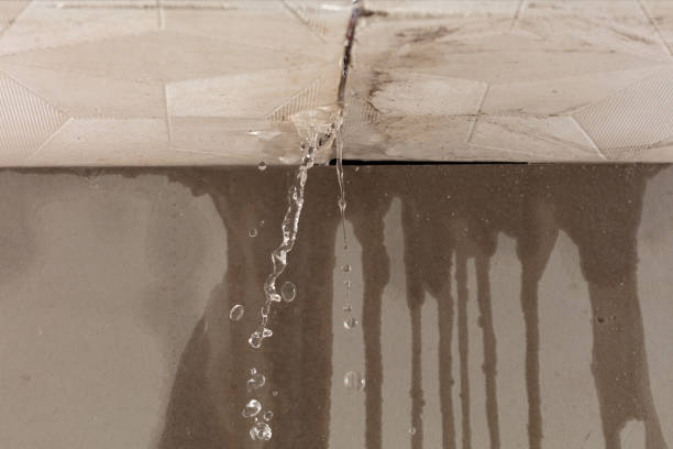 Professional Structural Drying technician working in Polk, PA